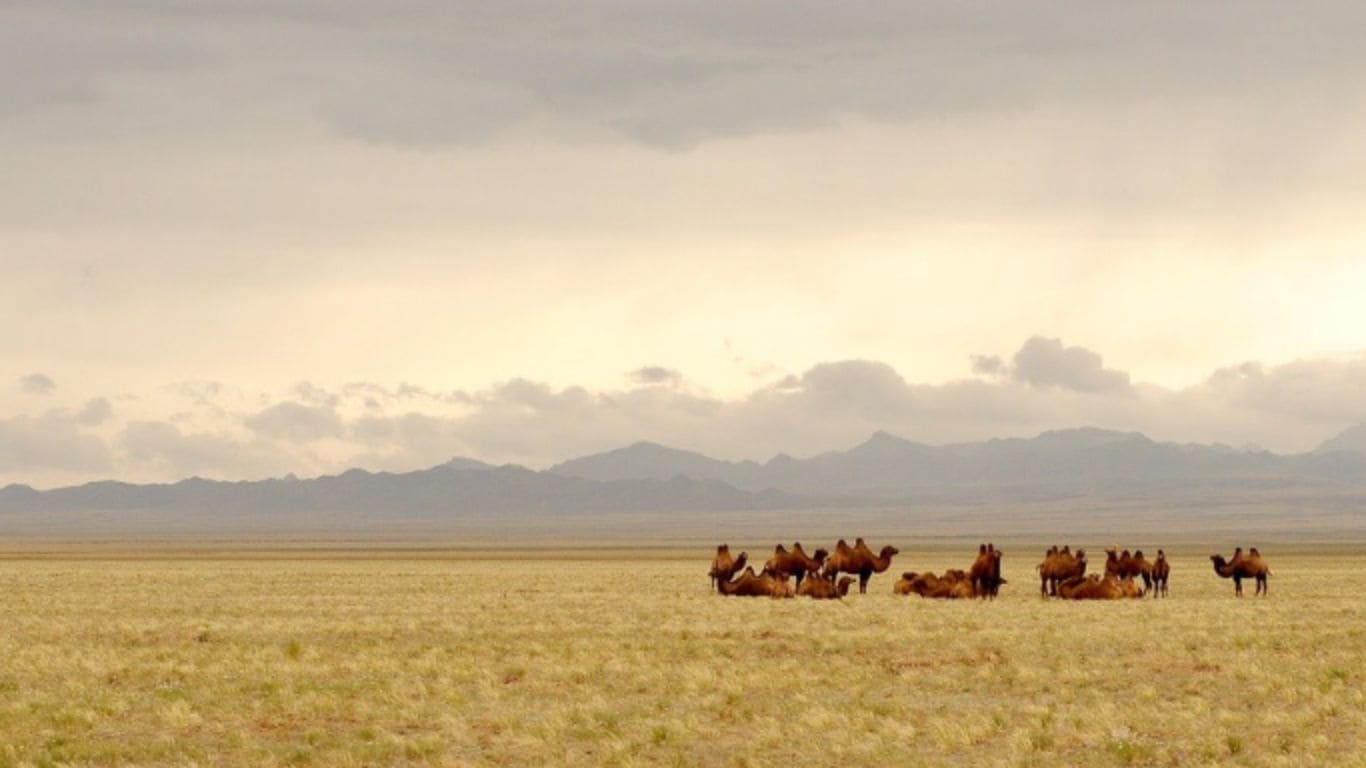 Mongolia