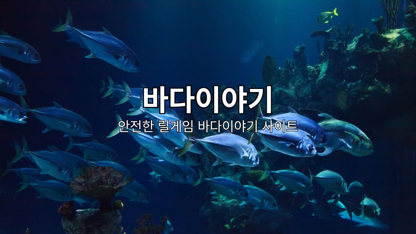 Read more about the article 바다이야기 사이트 2024년 NO.1